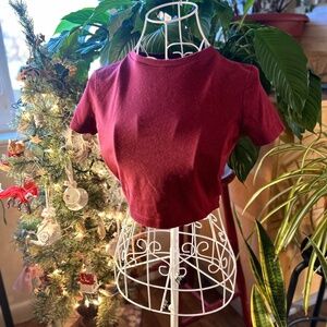 Wild Fable brick red cropped tee
